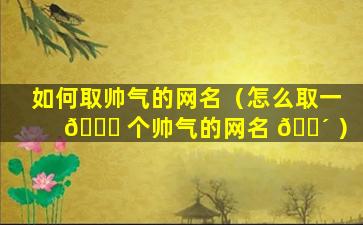 如何取帅气的网名（怎么取一 🍀 个帅气的网名 🐴 ）